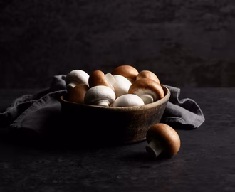 Champignons_060425_web