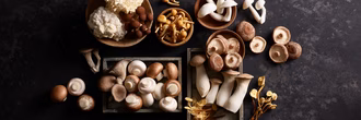 banner_010425_web