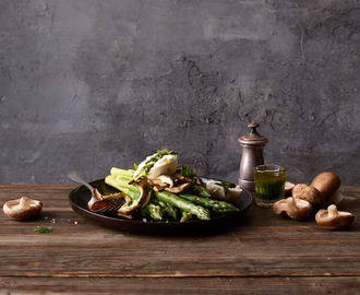 gebratene_pilze_mit_burrata_und_spargeln_010425_website