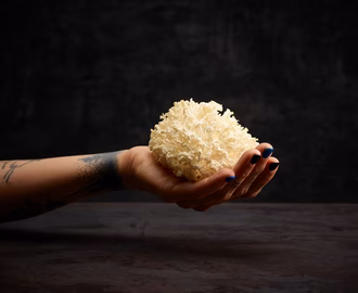pompom_010425